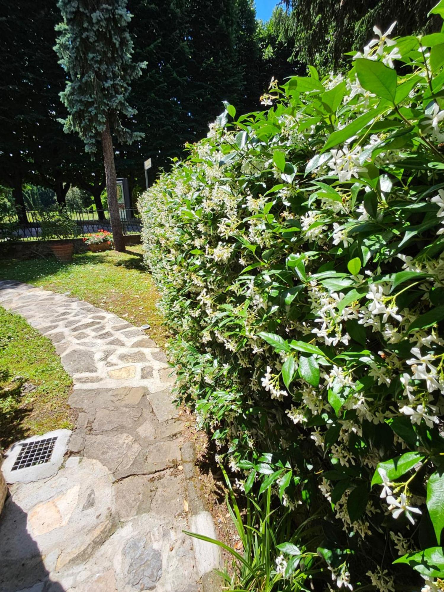 B&B Casa Tessieri ลุคคา ภายนอก รูปภาพ