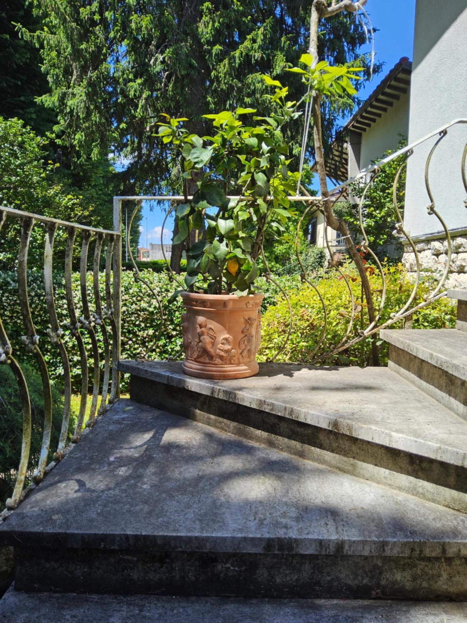 B&B Casa Tessieri ลุคคา ภายนอก รูปภาพ