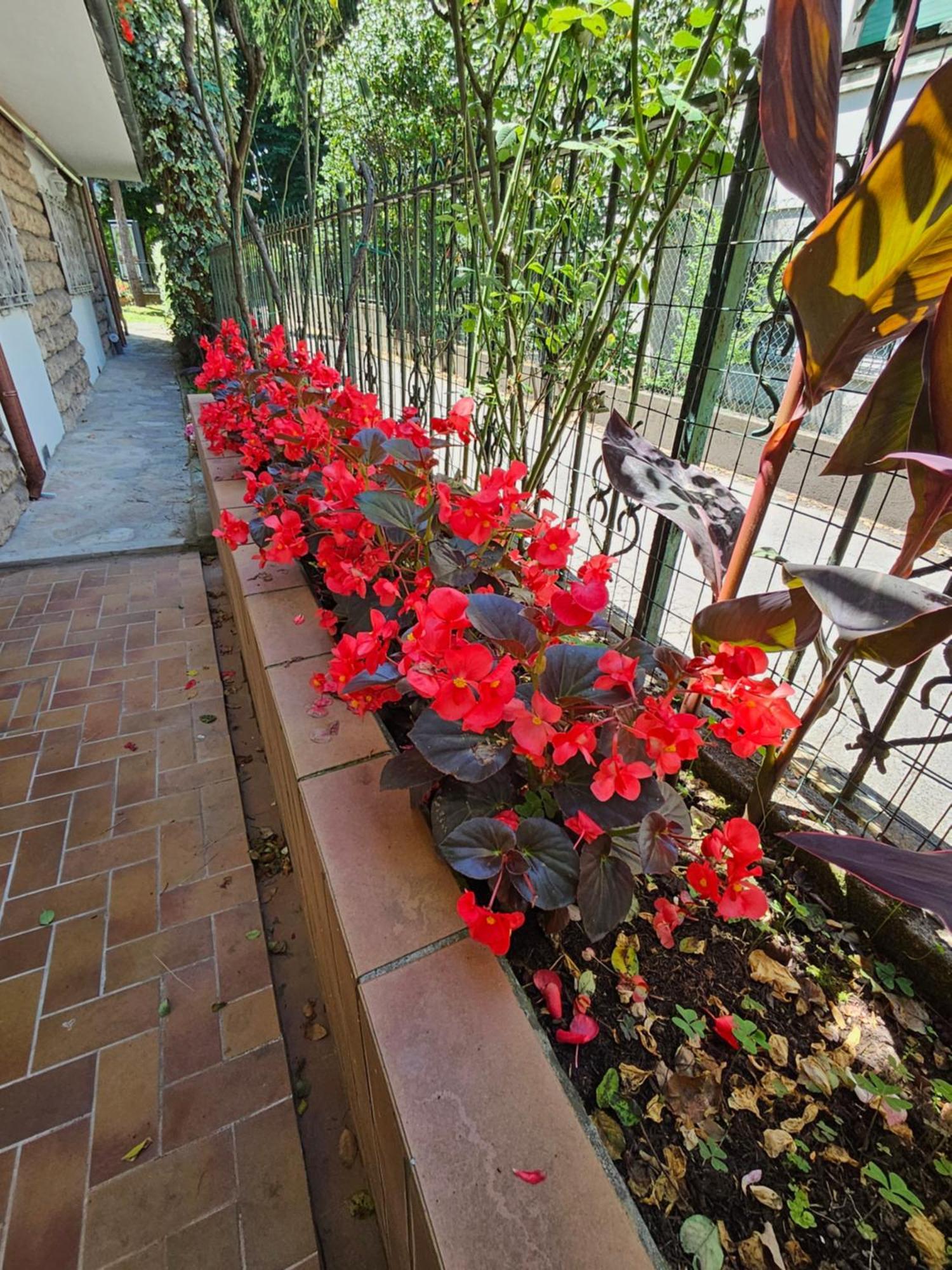 B&B Casa Tessieri ลุคคา ภายนอก รูปภาพ